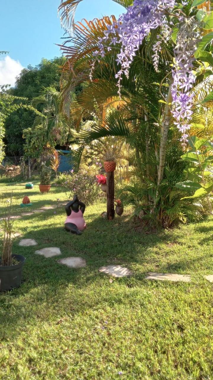 Gite Cajou Dans Jardin Tropical Ventile A Sainte-Anne Exterior photo