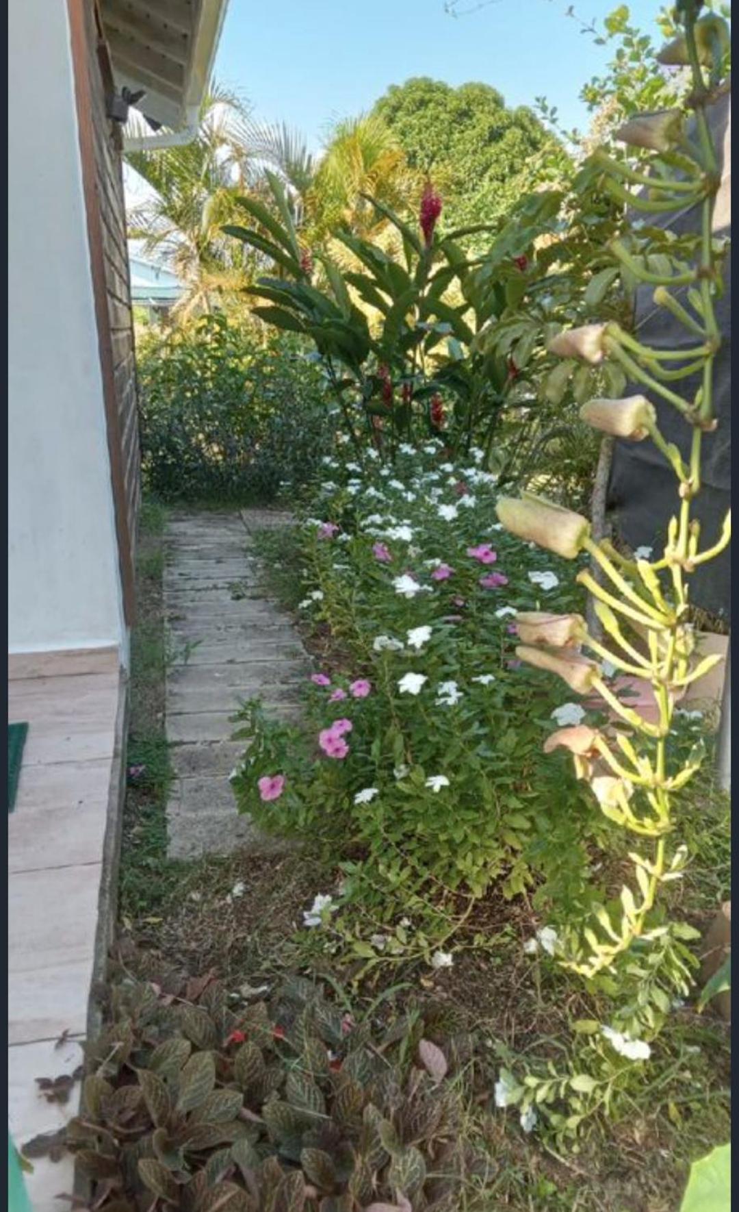 Gite Cajou Dans Jardin Tropical Ventile A Sainte-Anne Exterior photo
